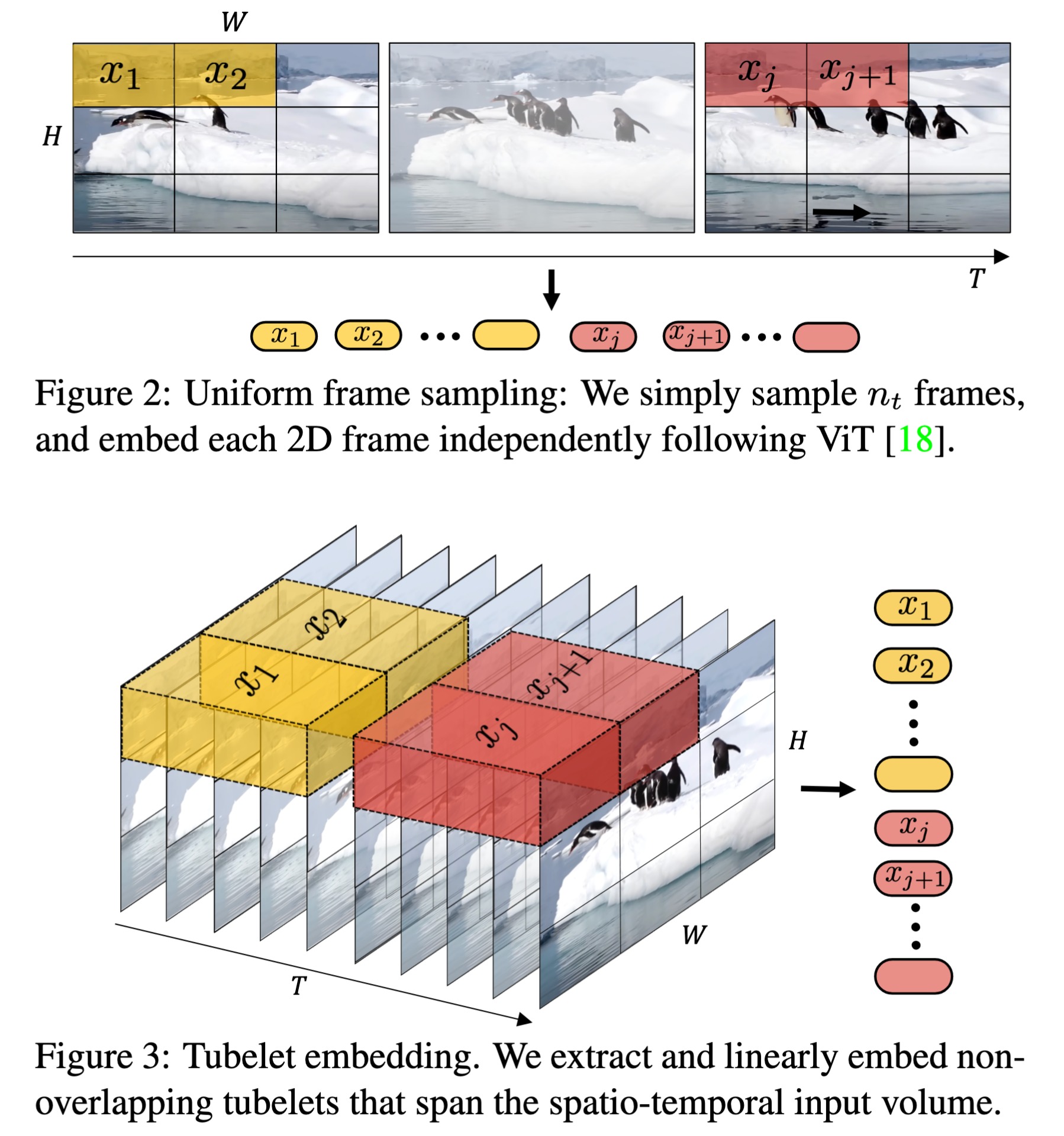 图 8.3.5:3D Tube Conv3d 时空压缩可视化